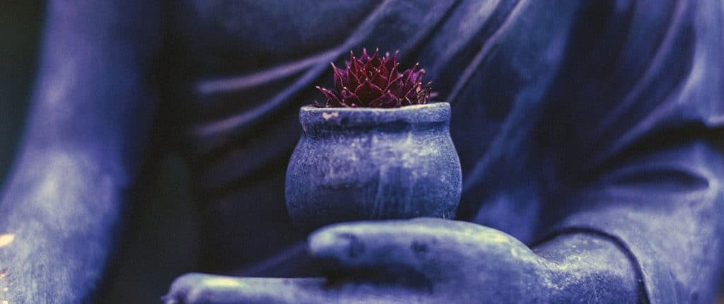 Formation Massage Ayurveda Annecy
