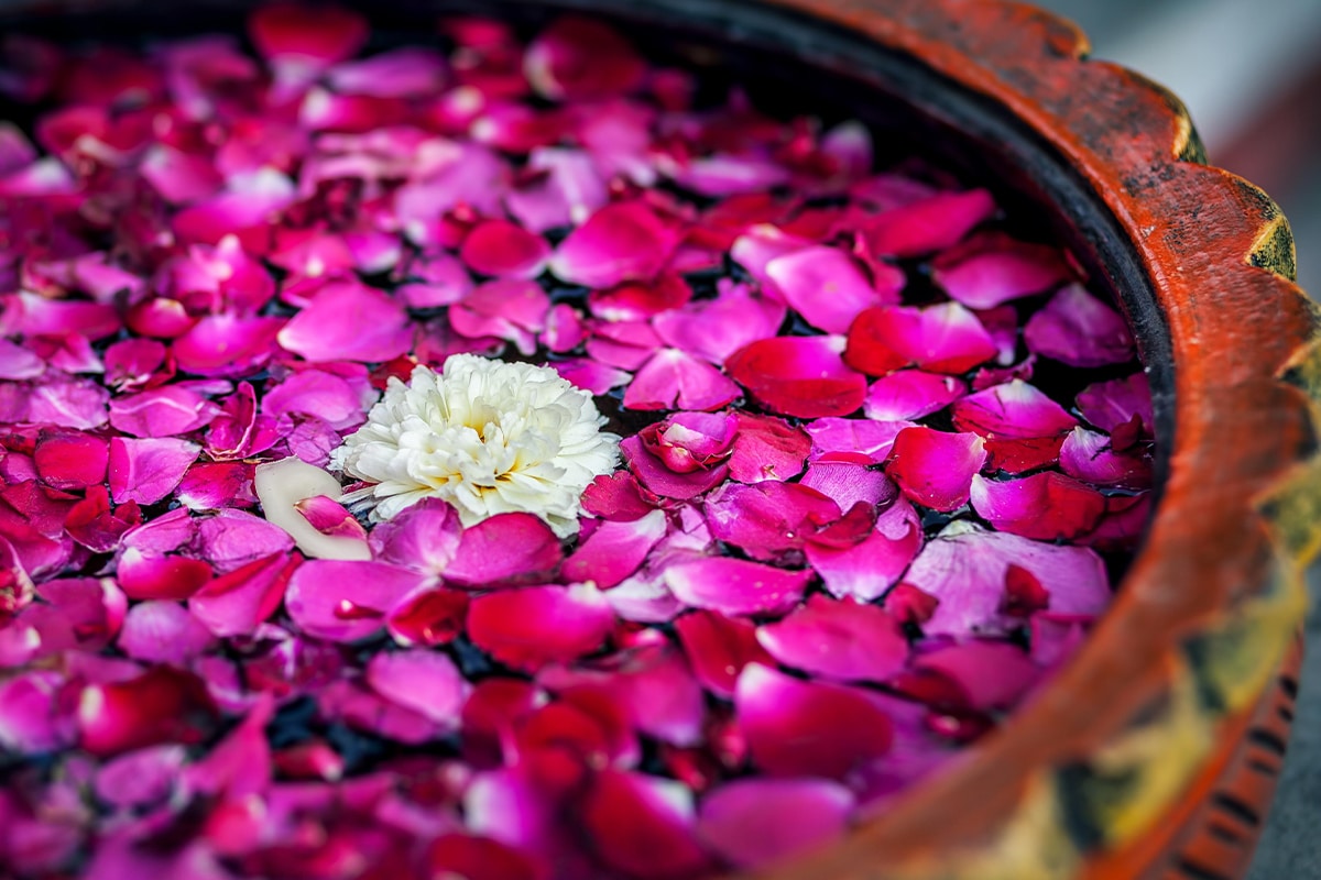 formations-massages-magnolia-therapies-annecy-06