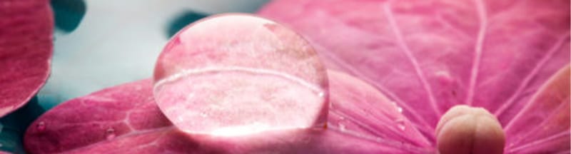 magnolia-therapies-annecy-sophie-tagand-soins-ayurveda-01