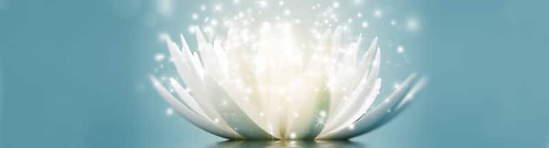 magnolia-therapies-annecy-sophie-tagand-soins-ayurveda-02